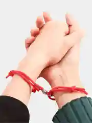 Парный браслет "Горный альянс"
