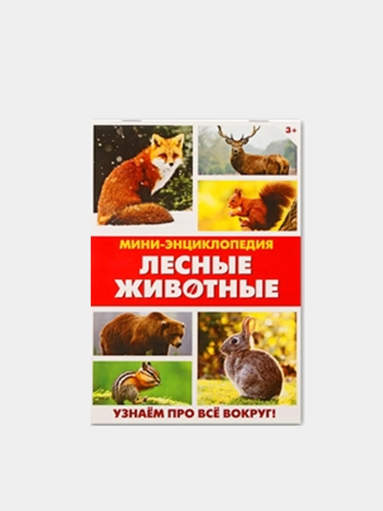 Бежевый книга для детей Мини - энциклопедии