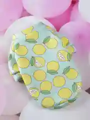 Бирюзовый одежда для собак мелких пород, кошек, флис
