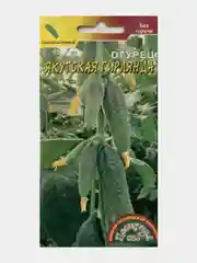 Огурец Якутская гирлянда (семена)