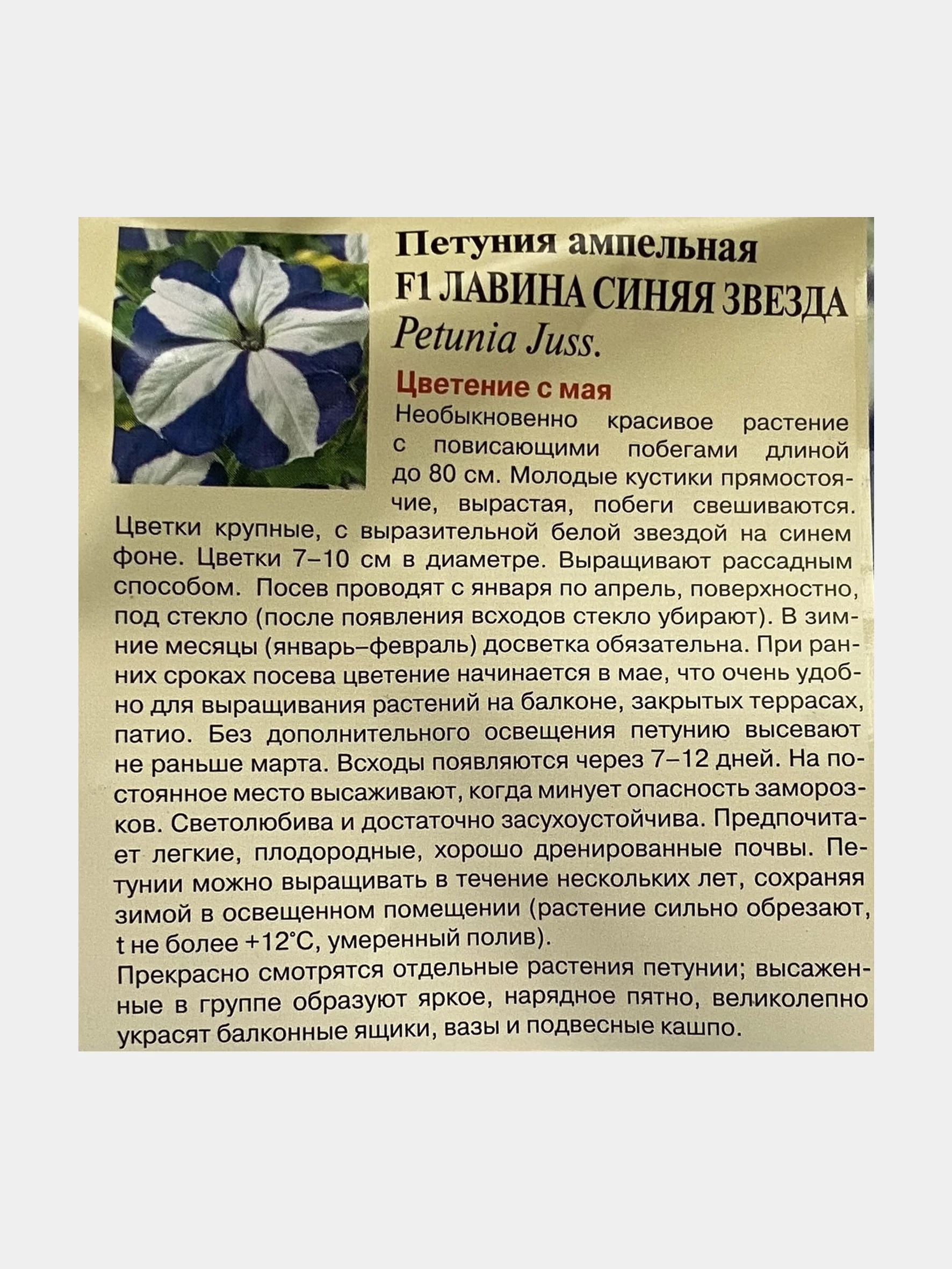 Петуния "Лавина синяя звезда", семена, цветы