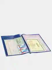 Синий папка для семейных документов