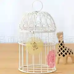Бирюзовый наклейки
