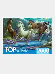 Коричневый пазлы 2000 элементов, разные сюжеты