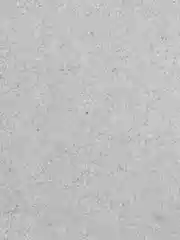 Тёмно-серый жидкие обои Avrora (Аврора) - 016 SILK PLASTER