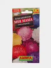 Астра китайская "Моя мама"