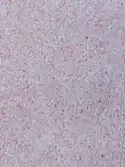 Фуксия жидкие обои Avrora (Аврора) - 022 SILK PLASTER