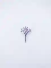 Серебряный брошь медицинская Dulkin.accry