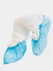 Бахилы