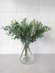 Зеленый искусственные цветы, Полевые цветы "Кукурузки", букет из 6 веточек
