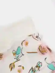Ползунки Мелонс для девочки