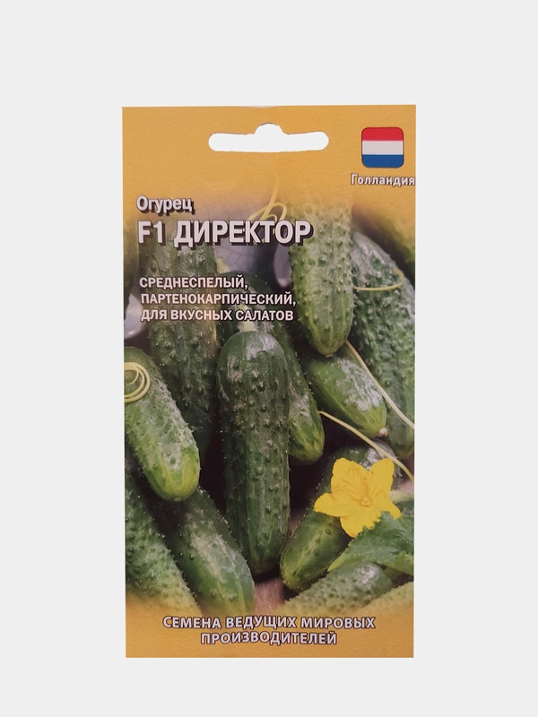 Огурец F1 Директор(Голландия)