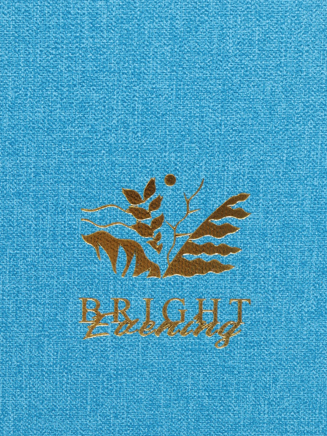 Тетрадь A5 48л, сшивка, клетка, кожзам под рогожку, голубой, BRAUBERG BRIGHT, 403846