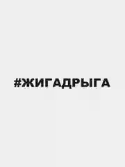 Наклейка на автомобиль "#жигадрыга"