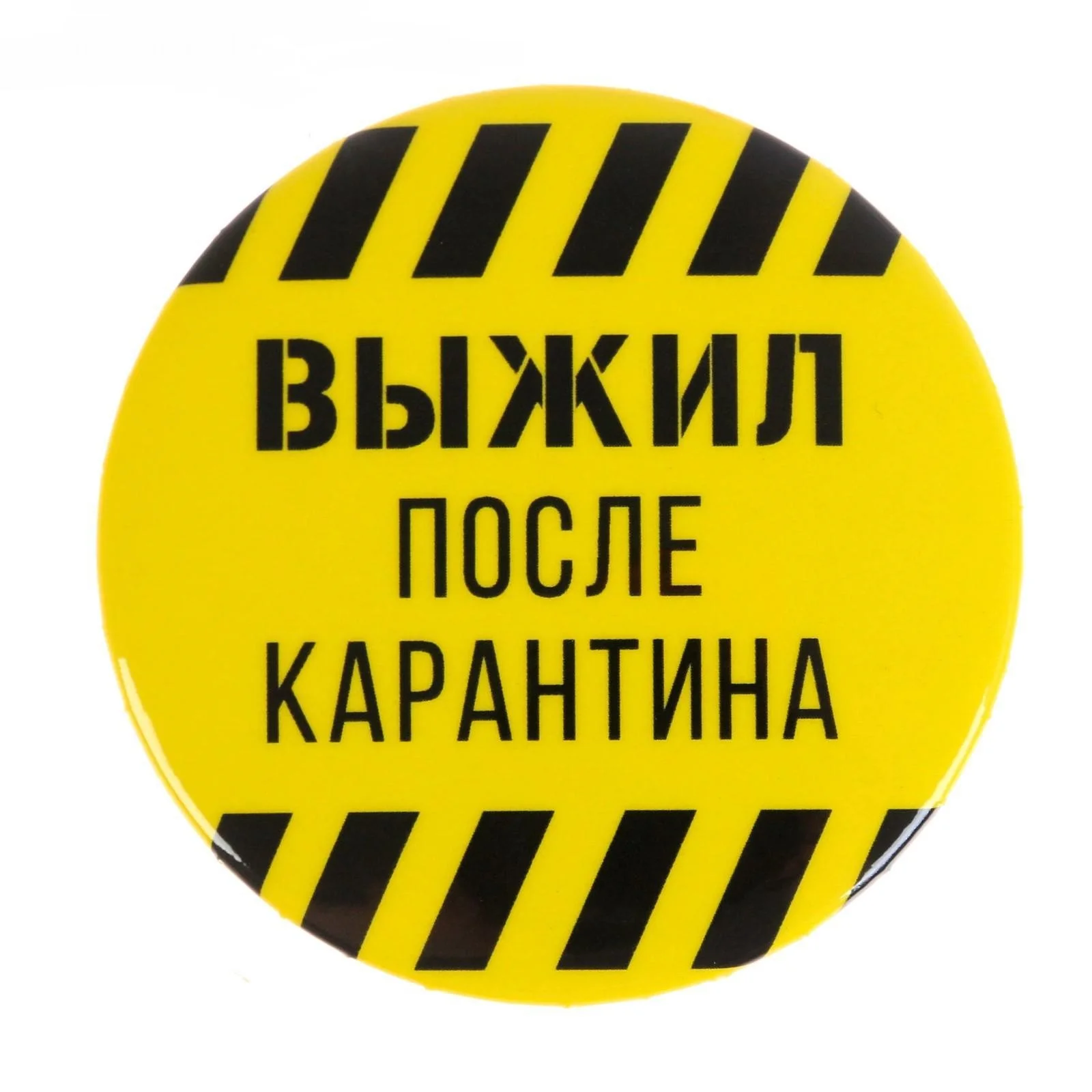 Бордовый значки "Злая зая", "Выжил после карантина", "Котолиза", 56 мм