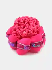 Коралловый сетка для волос