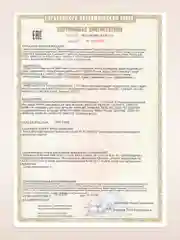 Аппарат для микротоковой терапии MT GESS