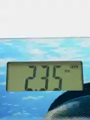 Весы напольные электронные ENERGY EN-419M