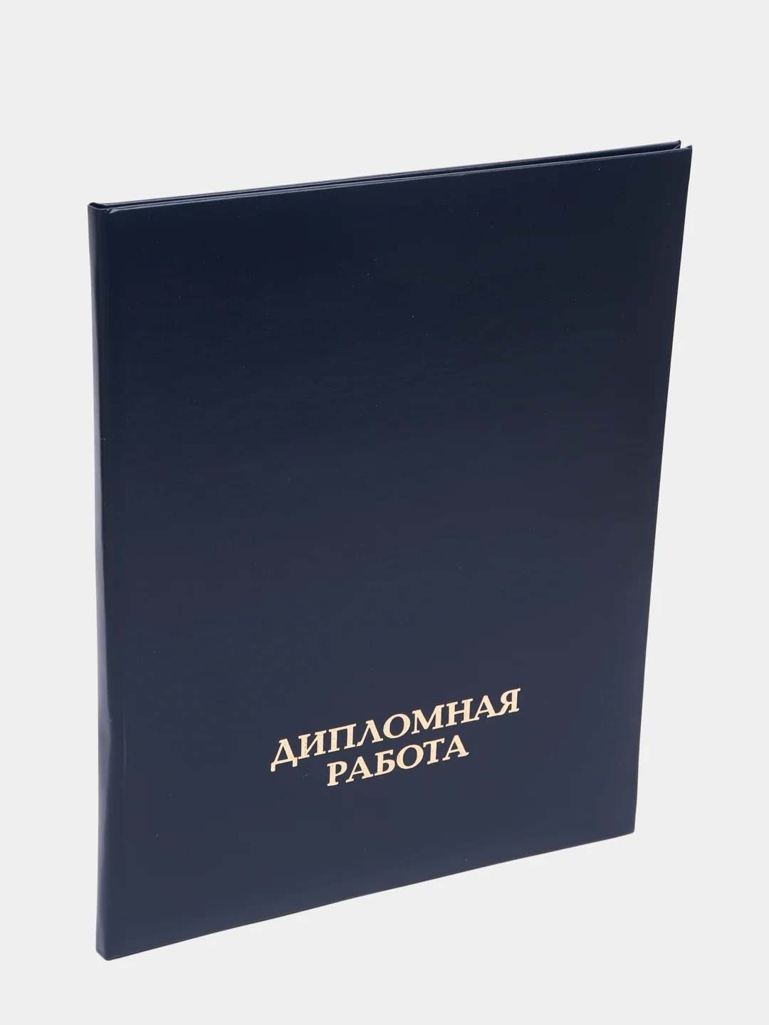 Папка для дипломных работ ДИПЛОМНАЯ РАБОТА А4 бумвинил, шнур