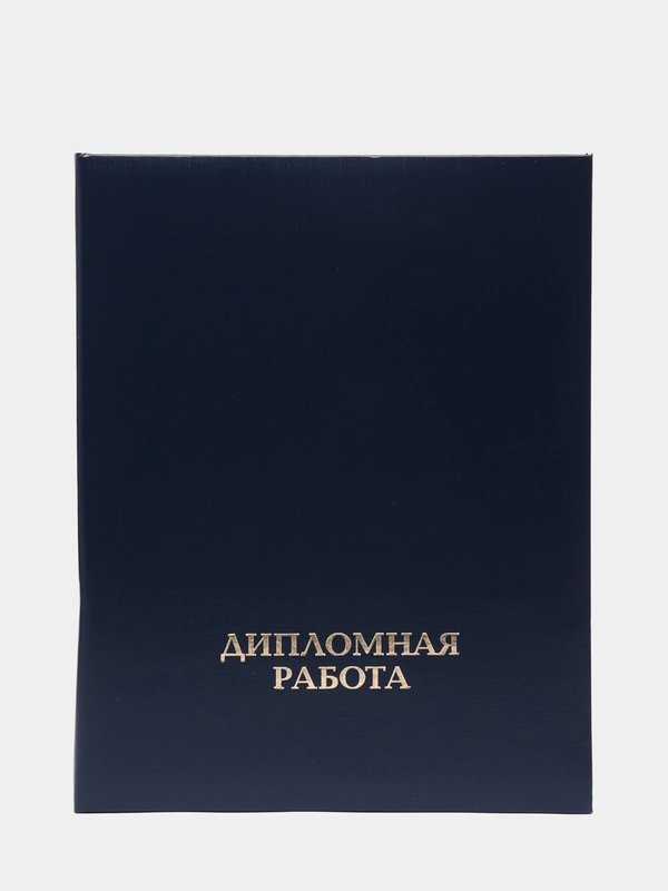 Папка для дипломных работ ДИПЛОМНАЯ РАБОТА А4 бумвинил, шнур