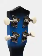 Укулеле сопрано Tutti JR-11 BLB