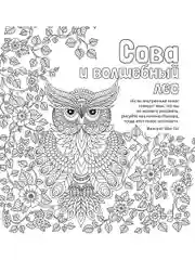 Антистресс-раскраска. Сова и волшебный лес