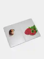 Бирюзовый обложка для паспорта Animal