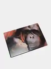 Бордовый обложка для паспорта Animal