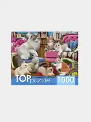 Коралловый пазлы, 1000 элементов