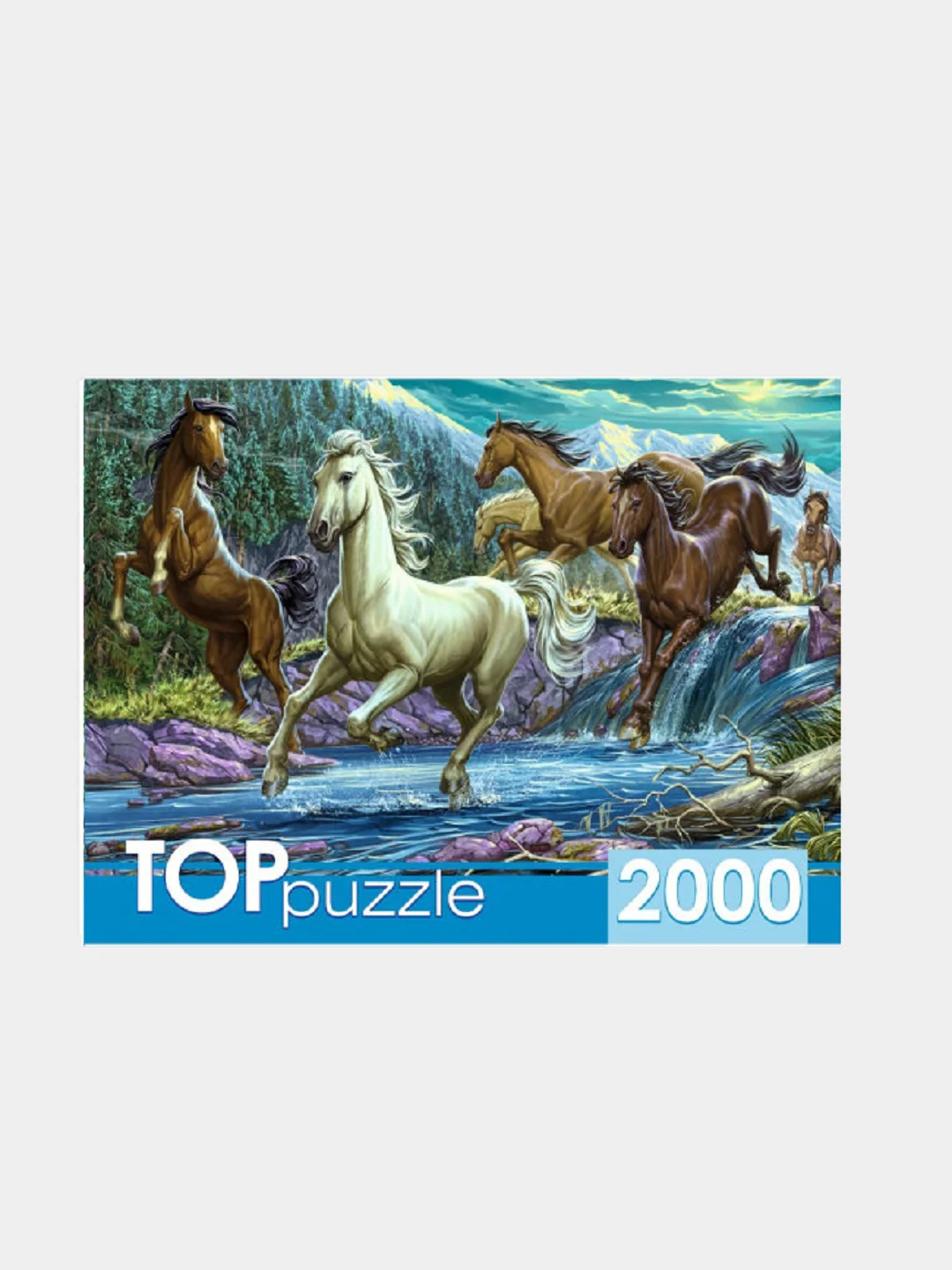 Алый пазлы, 2000 элементов
