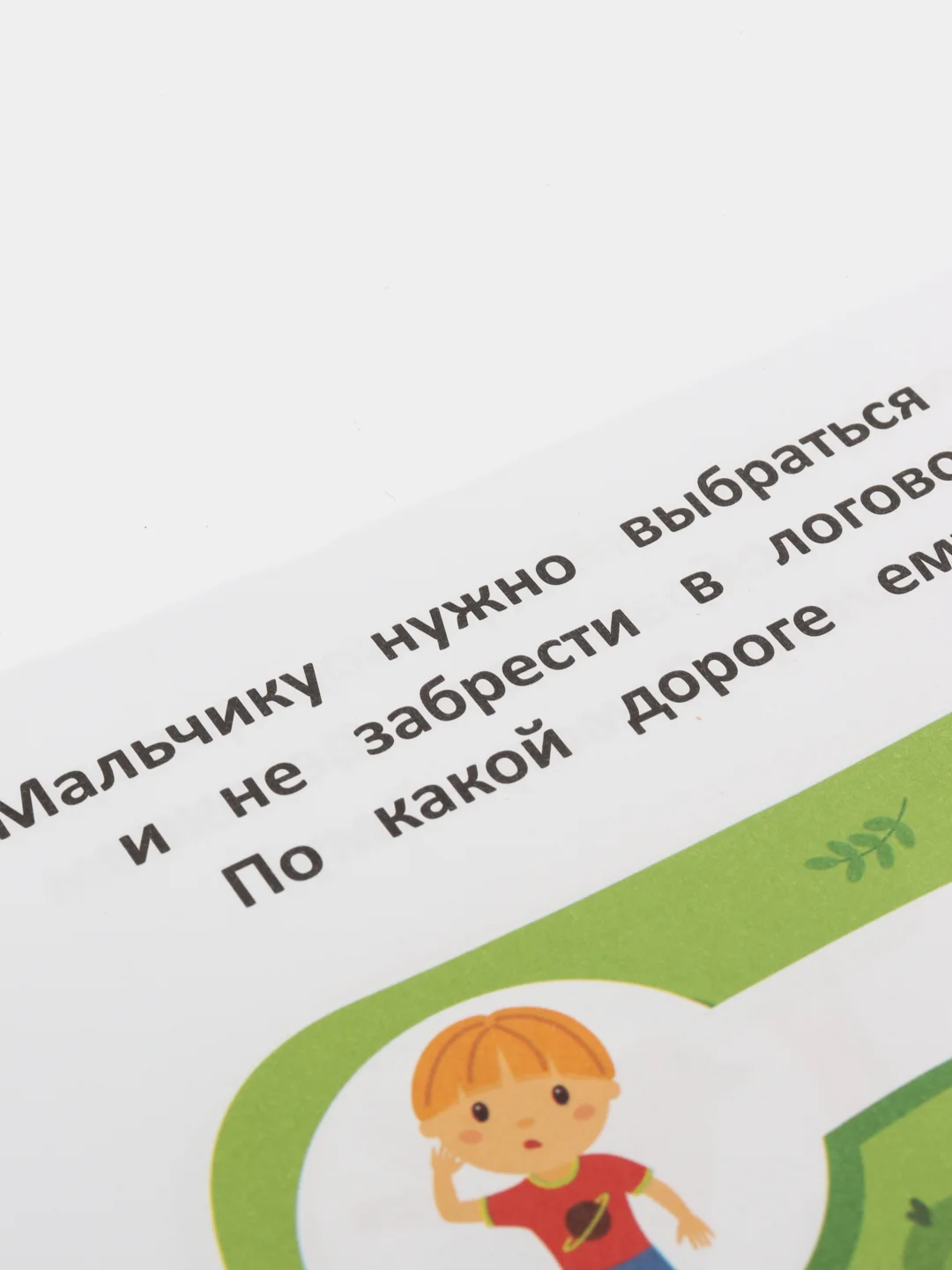 Книжка с наклейками / Приключения в лесу