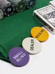 Профессиональный покерный набор Холдем (Holdem) 300 фишек