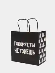 Падарочный пакет 22х22х11см