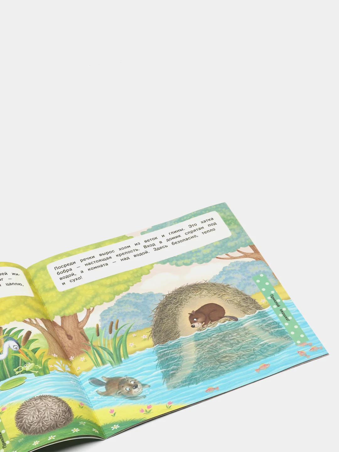 Книжка с окошками / Где чей домик?