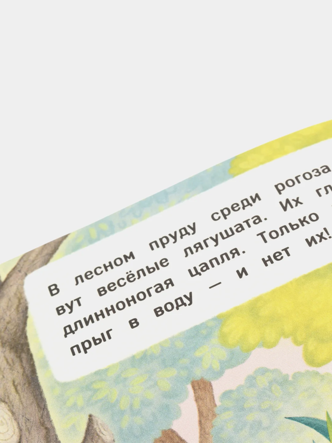 Книжка с окошками / Где чей домик?