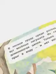 Книжка с окошками / Где чей домик?