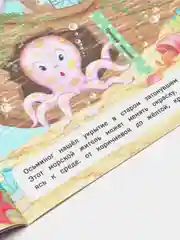Книжка с окошками / Кто где спрятался?