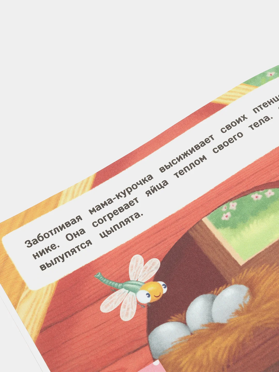 Книжка с окошками / Кто моя мама?
