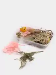 Манго сухоцветы в коробе, 17 х 12 х 3 см