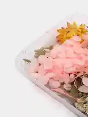 Манго сухоцветы в коробе, 17 х 12 х 3 см