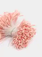 Коралловый меланж тычинки для цветов, матовые, 400 штук