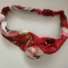 Пудровый повязка для волос