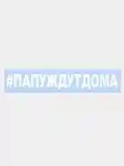 Наклейка на авто "#ПАПУЖДУТДОМА" 25х3см