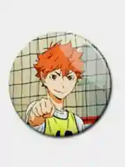 Зеленый значки аниме Волейбол Haikyuu