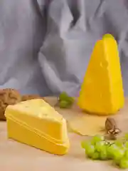 КОНТЕЙНЕР ДЛЯ СЫРА