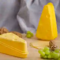 КОНТЕЙНЕР ДЛЯ СЫРА