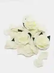 Белый декоративные лепестки