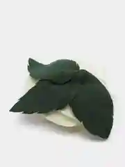 Белый декоративные лепестки