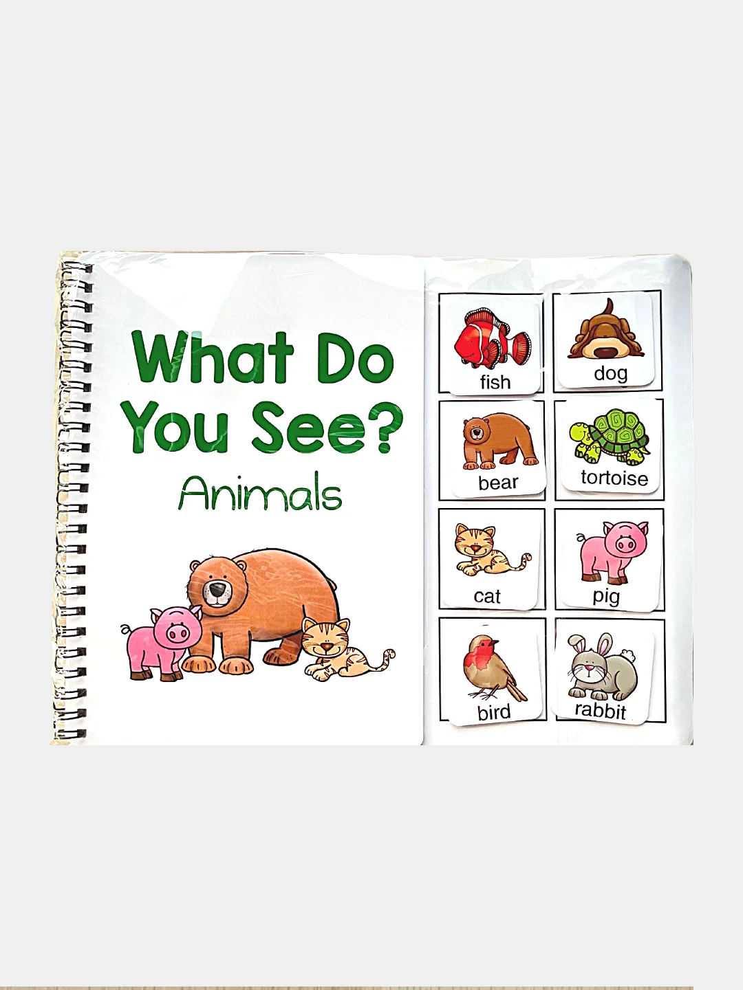 Карточки на английском языке "What Do You See?"