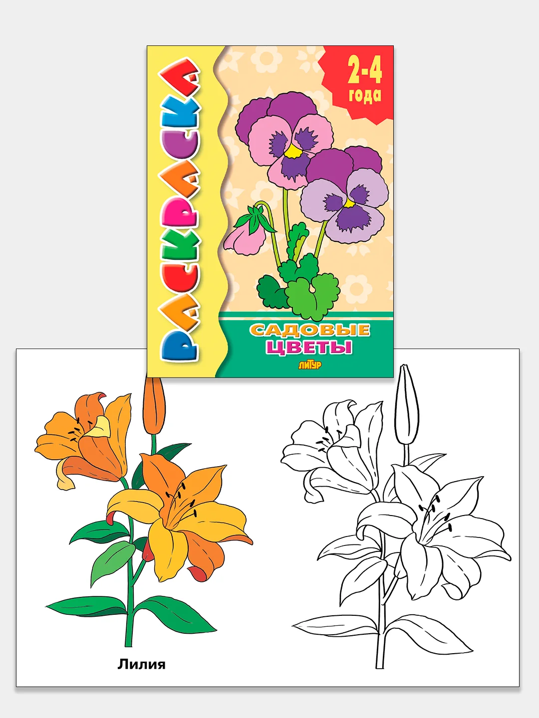 Комплект из 5 раскрасок для детей 2-4 лет